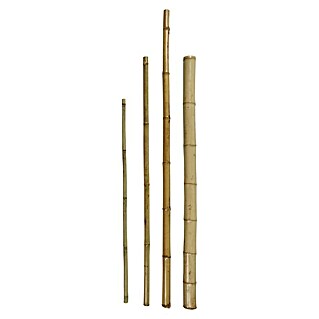 Bambus štap (Duljina: 180 cm, Promjer: 55 mm)