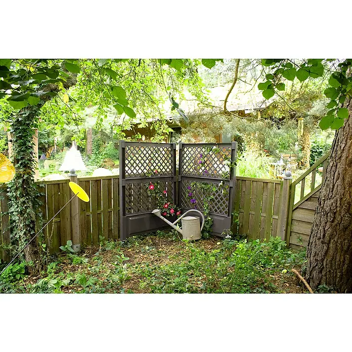 KHW Rankgitter - 100 x 140 cm, Anthrazit - Eine dekorative Gartenecke mit einem Rankgitter, blühenden Kletterpflanzen und einer Zinkgießkanne, umgeben von einem grünen Garten.
