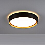 Just Light LED-Deckenleuchte Emilia (32 W, L x B x H: 39,6 x 39,6 x 10 cm, Schwarz, Warmweiß) | BAUHAUS