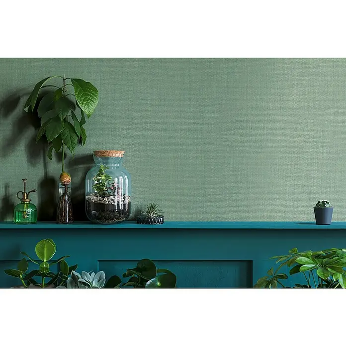 Marburg Botanica Vliestapete Struktur - Grün, Uni, 10,05 x 0,53 m - Zimmerpflanzen-Arrangement mit Glasgefäßen, einem Avocado-Spross, einem Kakteen und einer Sprühflasche auf einem blauen Regal vor grüner Wand.