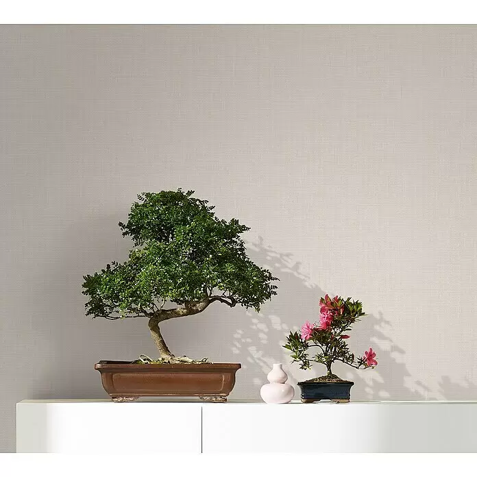 Marburg Botanica Vliestapete Struktur - Hellbeige, Uni, 10,05 x 0,53 m - Helle beigefarbene strukturierte Tapete als Hintergrund für zwei Bonsai-Bäume auf einem weißen Schrank.