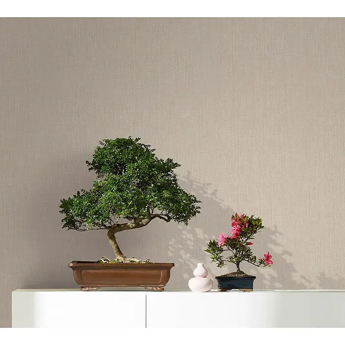Marburg Botanica Vliestapete Struktur - Beige, Uni, 10,05 x 0,53 m - Zimmerdekoration mit zwei Bonsai-Bäumen in braunen und blauen Töpfen, die auf einem weißen Regal stehen.
