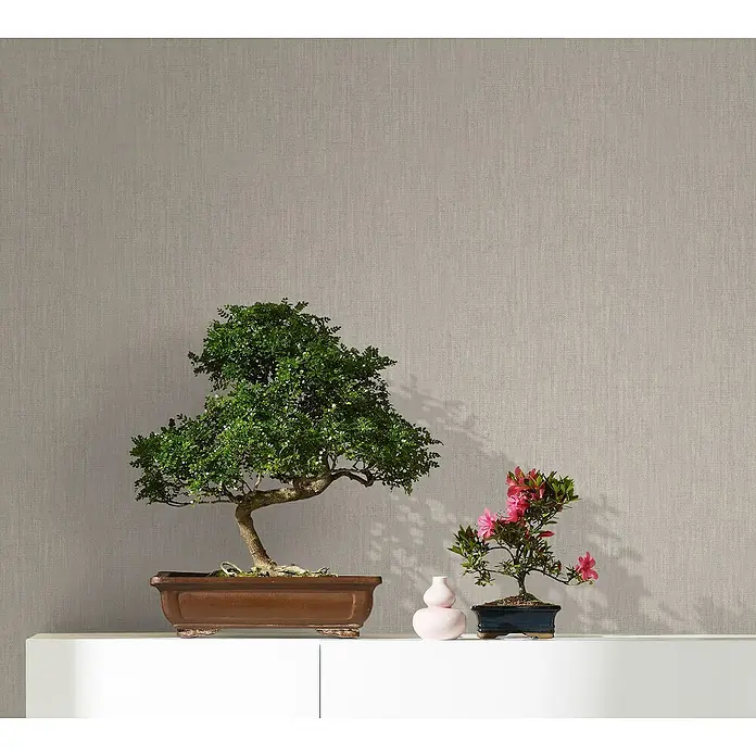 Marburg Botanica Vliestapete Struktur - Dunkelgreige, Uni, 10,05 x 0,53 m - Nahaufnahme von zwei Bonsai-Bäumen in Töpfen, die auf einer weißen Oberfläche stehen, mit einem neutralen Hintergrund.