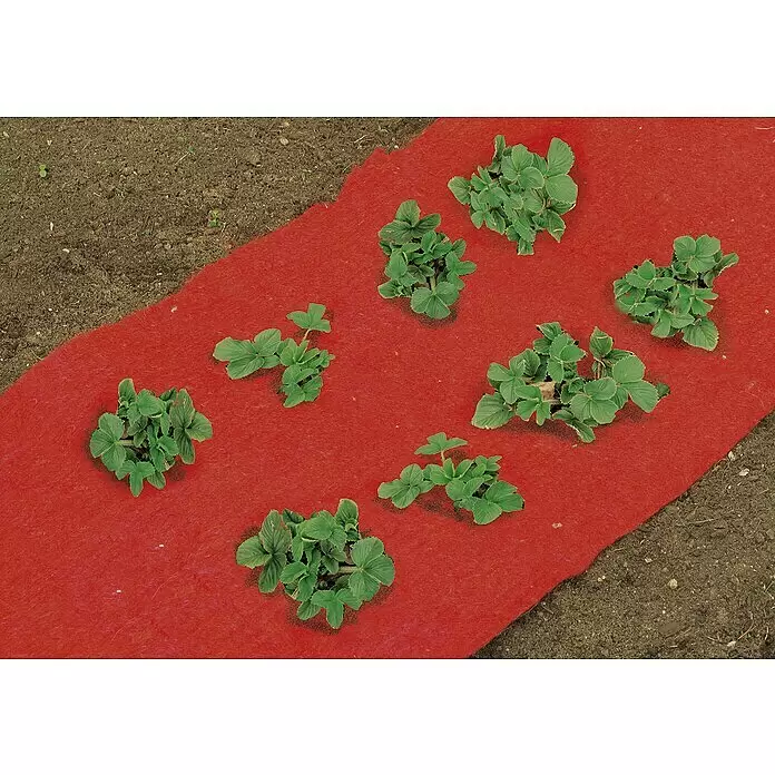 Floraworld Classic Jutevliesmatte - Rot, Länge: 150 cm - Anwendungsbeispiel
