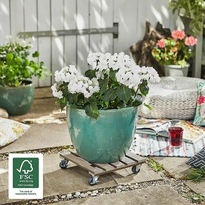 Wagner System Pflanzenroller - 29 x 29 cm, WPC, Taupe, Max. Belastung: 80 kg - Ein grüner Blumentopf mit weißen Hortensien steht auf einem Rollbrett im Garten.