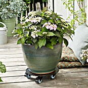 Gardol Pflanzenroller (Aluminium, Schwarz, Max. Belastung: 150 kg)