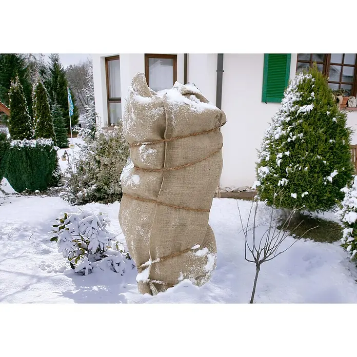 Floraworld Classic Jute-Gewebematte - Natur, 500 cm - Ein Winterschutz aus Jute schützt einen Strauch vor Schnee und Frost. Der Jutesack ist mehrfach mit einer Kordel umwickelt.