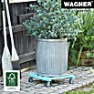 Wagner System Pflanzenroller (9,5 x 38 cm, Blau, Max. Belastung: 120 kg, Durchmesser Rolle: 50 mm) | BAUHAUS
