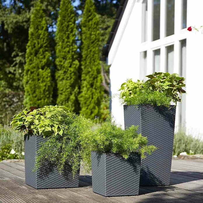 Siena Garden Pflanzkasten Marle (Außenmaß (L x B x H): 30 x 30 x 31 cm,  Kunststoff, Graphit) | BAUHAUS