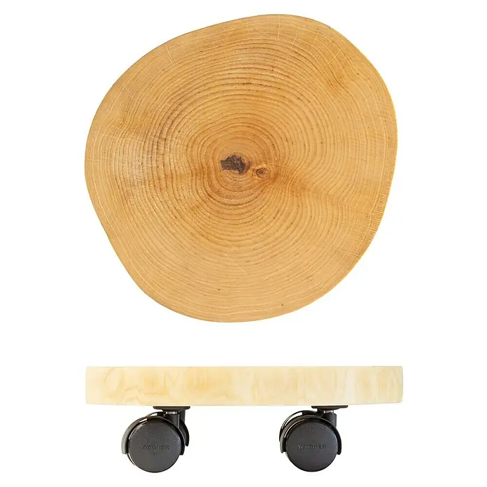 Wagner System Pflanzenroller - 30 cm, Birke, Max. Belastung: 50 kg - Holzscheibe mit Rollen. Der Holzscheiben-Rollbrett ist ideal zum einfachen Bewegen von Pflanzen und anderen schweren Gegenständen.