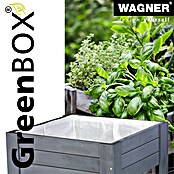 Wagner System GreenFamily Hochbeet GreenBOX light (53,5 x 53,5 x 70 cm, Anthrazit) | BAUHAUS