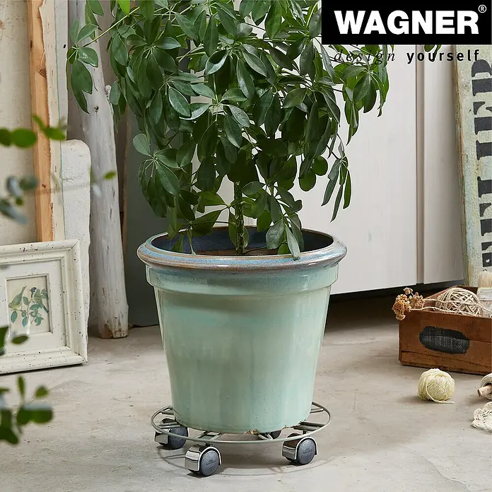 Wagner System Pflanzenroller - 30 cm, Metall, Grau, Max. Belastung: 60 kg - Zimmerpflanze in einem hellblauen Topf auf einem Rollwagen.