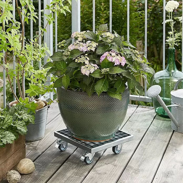 WAGNER Support à roulettes pour Pot de Fleur WPC 29 x 29 x 7,5 cm I