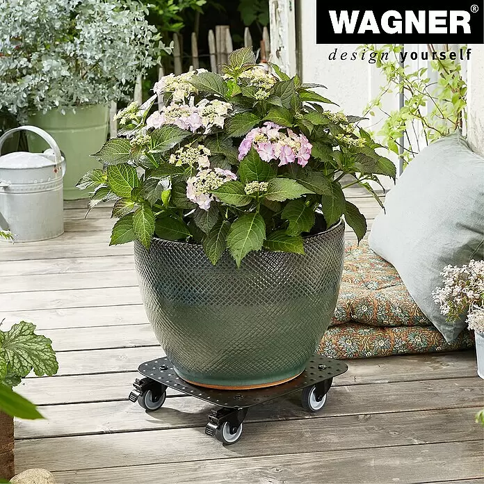 Wagner System Pflanzenroller - 29 x 29 cm, Metall, Schwarz, Max. Belastung: 150 kg - Schwarzer Metall-Pflanzenroller mit einer großen dunkelgrünen Topf-Hortensie auf einer Holzterrasse.