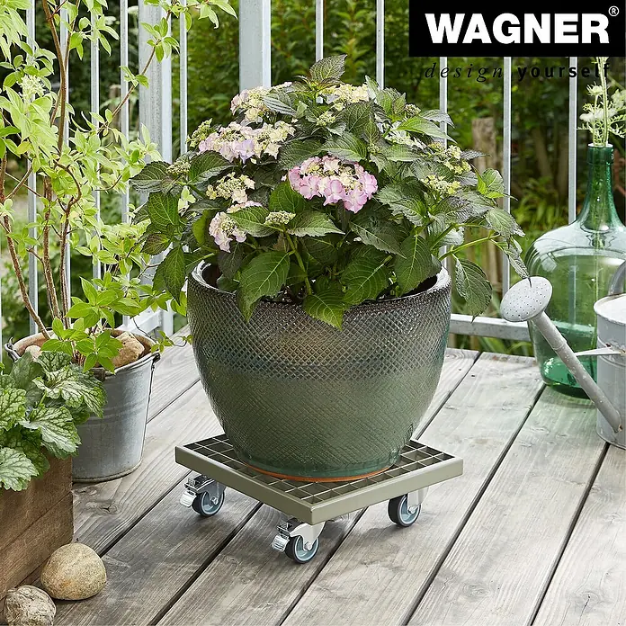 Wagner System Pflanzenroller - L x B x H: 29 x 29 x 9,5 cm, Rechteckig, Metall, Pulverbeschichtet - Ein Topf mit blühenden Hortensien steht auf einem Rollbrett von Wagner auf einer Holzterrasse.