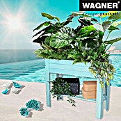 Wagner System GreenFamily Hochbeet GreenBOX light (83 x 34,5 x 70 cm, Holz, Aqua Splash) | BAUHAUS