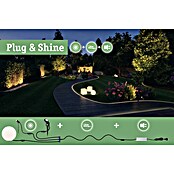 Paulmann Plug & Shine LED-Gartenspot (6 W, Warmweiß, IP67, Ø x H: 14 x 15 cm)