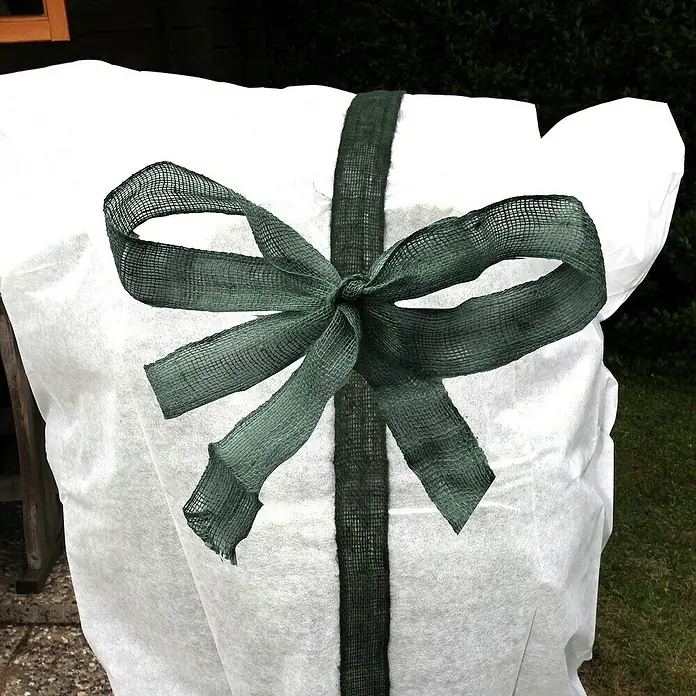 Floraworld Classic Jutegewebeband - Grün, 300 x 6 cm - Eingepackte Pflanze mit grünem Band und Schleife, die wie ein Geschenk aussieht, um sie vor Witterungseinflüssen zu schützen.