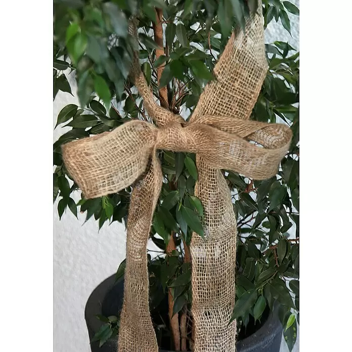 Floraworld Classic Jutegewebeband - Natur, 300 x 6 cm - Detailaufnahme