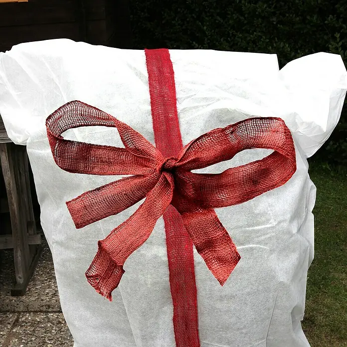 Floraworld Classic Jutegewebeband - Rot, 300 x 6 cm - Ein winterfest verpackter Busch mit einem roten Band und Schleife geschützt vor Kälte, um das Überleben der Pflanze im Winter zu sichern.