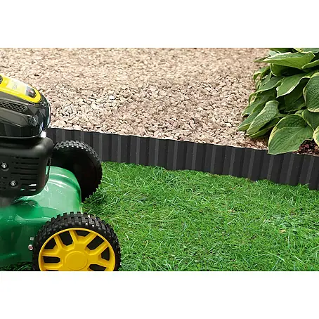 bambus robusta campbell Fargesia robusta Campbell kaufen – Bambushecke – Gräserwelten