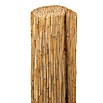 Gardol Schilfrohrmatte (600 x 100 cm, Geeignet für: Sicht- und Windschutz)