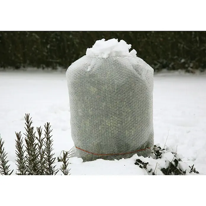 Floraworld Luftpolsterfolie - 500 x 100 cm, Stärke: 80 µm - Eingepackter Busch im Wintergarten mit einer schützenden Noppenfolie und einer roten Schnur. Schnee liegt auf dem Busch und auf dem Boden.