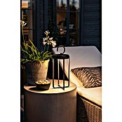 Konstsmide LED-Laterne Manorola (15,5 x 15 x 39 cm, Schwarz) | BAUHAUS