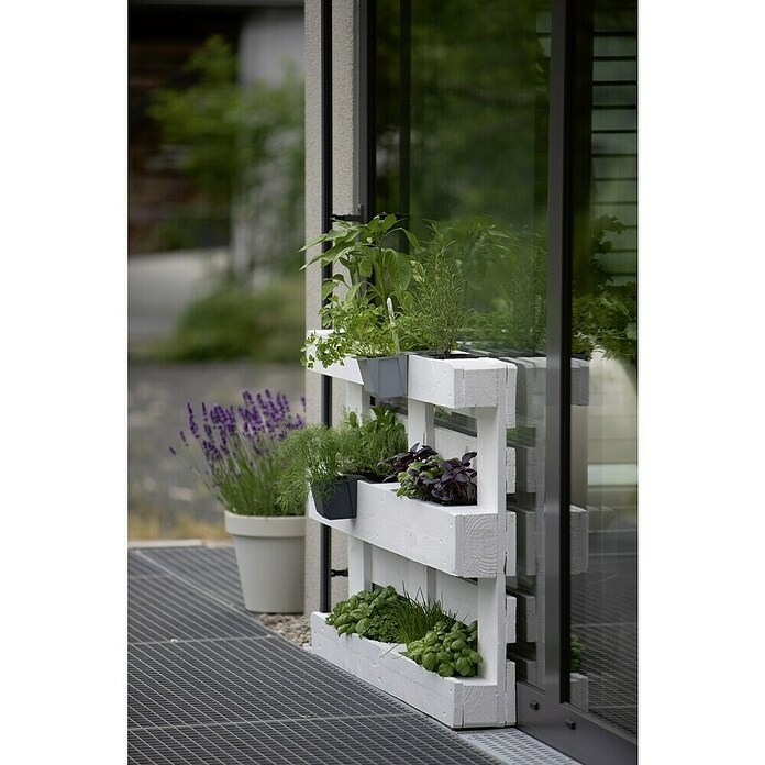Geli Pflanzkasten-Einsatz Easy - Auenma (L x B x H): 10 x 10 x 10 cm,  Kunststoff, Betongrau online kaufen bei BAUHAUS