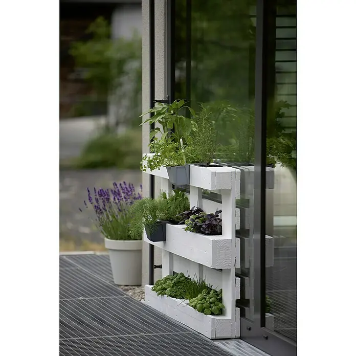 Geli Pflanzkasten-Einsatz Easy - Außenmaß (L x B x H): 10 x 10 x 10 cm, Kunststoff, Betongrau - Erhöhtes Kräuterbeet aus einer weißen Holzpalette, bepflanzt mit verschiedenen Kräutern und Gewürzen. Eine stilvolle und praktische Lösung für den Garten.