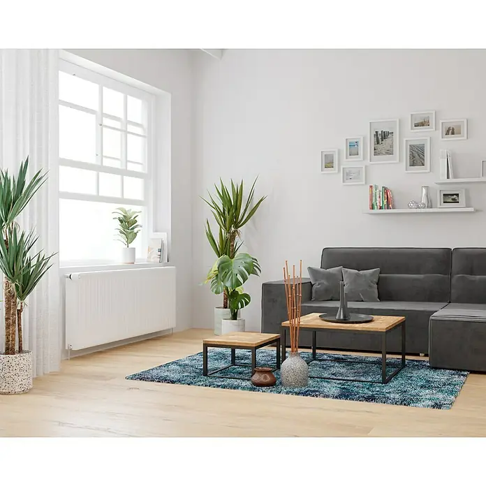 De'Longhi Kompaktheizkörper - B x H: 1.600 x 600 mm, Wärmeleistung bei Vorlauftemperatur von 75 °C (D: 50): 2.752 W, Typ Heizkörper: 22 - Ein helles Wohnzimmer mit einem grauen Sofa, zwei Couchtischen, Zimmerpflanzen und einer Bildergalerie an der Wand.