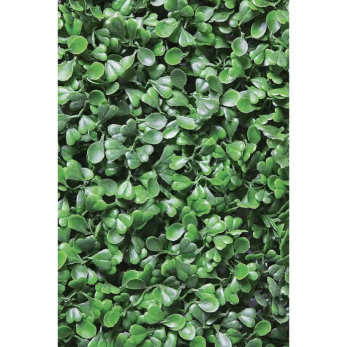 Piardino Lebensbaum Smaragd (100 cm - 125 cm, Thuja occidentalis 'Smaragd')  | BAUHAUS