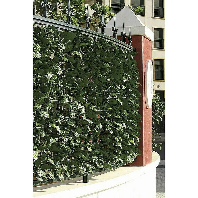 Piardino Lebensbaum Smaragd (100 cm - 125 cm, Thuja occidentalis 'Smaragd')  | BAUHAUS