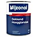 Wijzonol Lakverf Dekkend Hoogglanslak 
