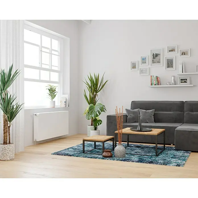 E.C.A. Planheizkörper - B x H: 1.200 x 550 mm, 1.871 W, 22 - Eine gemütliche Wohnzimmerszene mit grauem Sofa, Holztischen und Zimmerpflanzen, die eine entspannende Atmosphäre schaffen.