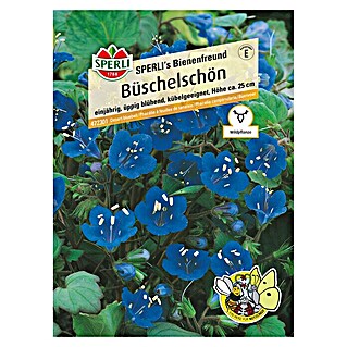 Sperli Gründüngung Büschelschön (Phacelia campanularia, Saatgut ausreichend für: 30 m²)
