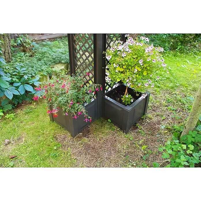 KHW Pflanzkasten - Außenmaß (L x B x H): 43 x 43 x 140 cm, Kunststoff, Anthrazit, Mit Rankgitter, 2 Stk. - Zwei dunkelgraue Pflanzgefäße mit Spalieren, in einer Ecke angeordnet, mit blühenden Pflanzen im Garten.