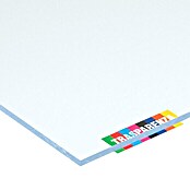 Vetronova Placa de vidrioplástico Lisa (125 cm x 50 cm x 4 mm, Poliestireno, Transparente)