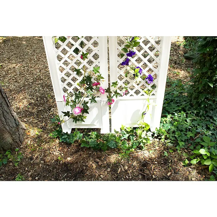 KHW Rankgitter 2er-Set - L x H: 43 x 137 cm, Weiß - Nahaufnahme einer weißen Spalierwand mit rosa und lila blühenden Kletterpflanzen in einem Garten.