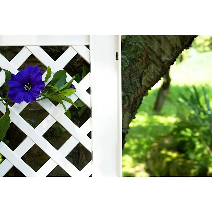 KHW Rankgitter 2er-Set - L x H: 43 x 137 cm, Weiß - Ein dekoratives Rankgitter mit einer einzelnen, leuchtend blauen Blüte und grünen Blättern vor einem Gartenhintergrund.