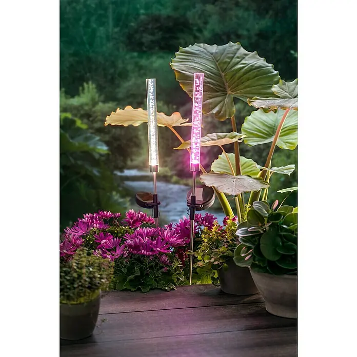 BAUHAUS Lámpara decorativa solar Bubble - 0,06 W, Transparente, IP44 - Primer plano de dos luces solares de jardín que iluminan flores y plantas en un patio.
