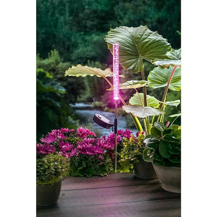 BAUHAUS Lámpara decorativa solar Bubble - 0,06 W, Transparente, IP44 - Vista del jardín con una luz de burbujas solar, que añade un toque decorativo con su iluminación rosa entre plantas y flores.