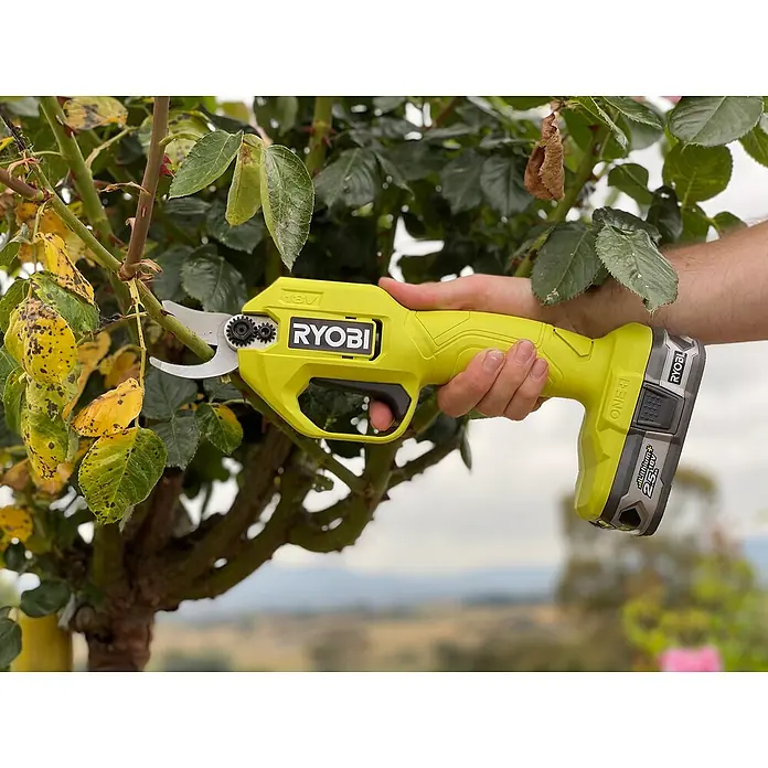 Ryobi ONE+ Akku-Gartenschere RY18SCA-0 + Artikelnr. 33198248 gratis hinzufügen* - 18 V, Li-Ionen, Ohne Akku, Max. Aststärke: 25 mm - Nahaufnahme einer Ryobi 18V Astschere beim Beschneiden eines Rosenstrauchs, die die Akku-Gartenschere in Aktion zeigt.