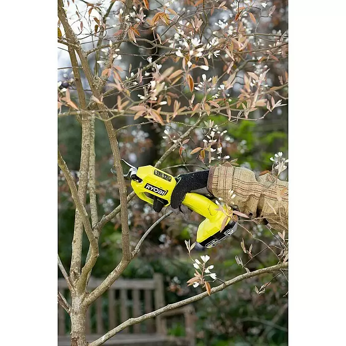 Ryobi ONE+ Akku-Gartenschere RY18SCA-0 + Artikelnr. 33198248 gratis hinzufügen* - 18 V, Li-Ionen, Ohne Akku, Max. Aststärke: 25 mm - Person mit Handschuhen schneidet mit gelber Akku-Astschere Ast von blühendem Baum.