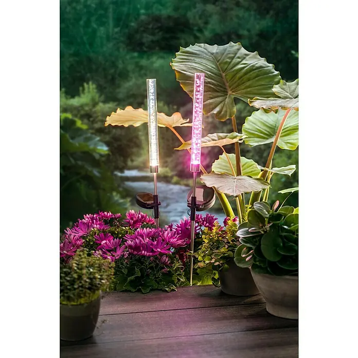 BAUHAUS Lámpara decorativa solar Bubble - 0,06 W, Transparente, IP44, Blanco cálido - Dos luces solares en el jardín, una blanca y otra rosa, rodeadas de vegetación y flores en una terraza con vistas al bosque.
