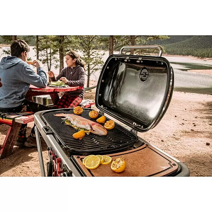 Weber Gasgrill Traveler - Grillfläche (B x T): 63 x 34 cm, 3,8 kW, Anzahl Brenner: 1, Schwarz/Silber - Anwendungsbeispiel