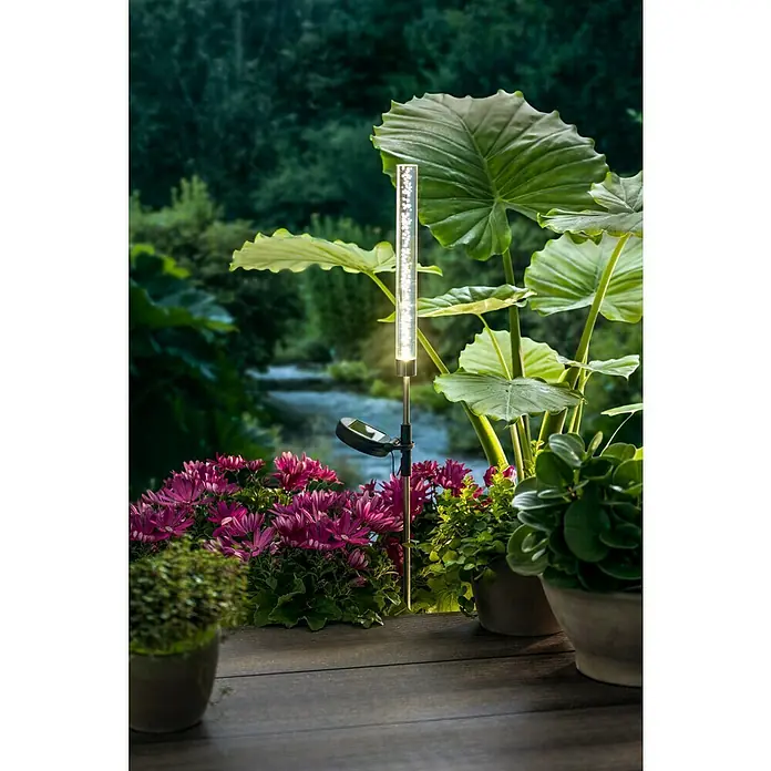 BAUHAUS Lámpara decorativa solar Bubble - 0,06 W, Transparente, IP44, Blanco cálido - Una lámpara solar con un accesorio transparente en forma de columna se encuentra entre las plantas en un patio. La lámpara emite una luz cálida y acogedora.