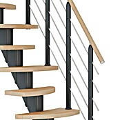 Dolle Mittelholmtreppe Berlin (Breite: 64 cm, Variabel, Anthrazitgrau, Farbe Stufen: Buche Natur, Geschosshöhe: 203 cm - 247 cm) | BAUHAUS