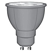 Neolux Bombilla LED PAR16 (GU10, Blanco cálido, 5,5 W) | BAUHAUS