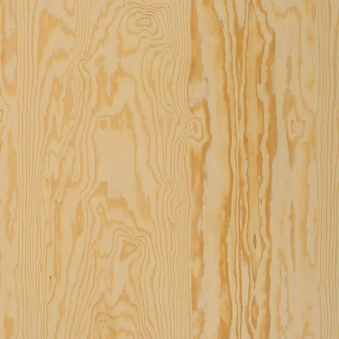 Tablero contrachapado Laudio - 250 cm x 122 cm x 21 mm - Primer plano de una chapa de madera con veta visible. La madera cálida y clara tiene un aspecto natural y decorativo.